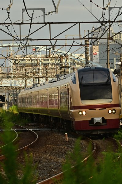 ニコン NIKKOR Z DX 50-250mm f/4.5-6.3 VRで撮影された写真 (レビュー