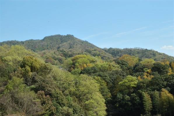 ニコン AF-S DX Zoom-Nikkor 18-70mm f/3.5-4.5G IF-ED 価格比較