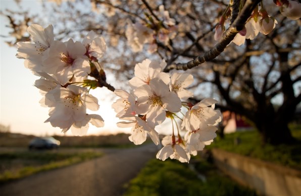 Canon EOS M3 ホワイト レンズ2本 バッテリー2個 CANON EOS M3 ダブル