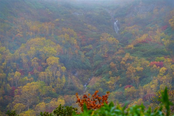 4260 外国切手 中国 2008年 風景名所 頤和園 凹版6種完 ニコン NIKKOR Z 70-200mm f/2.8 VR S 価格比較 - 価格.com