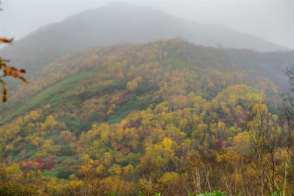 4260 外国切手 中国 2008年 風景名所 頤和園 凹版6種完 ニコン NIKKOR Z 70-200mm f/2.8 VR S 価格比較 - 価格.com