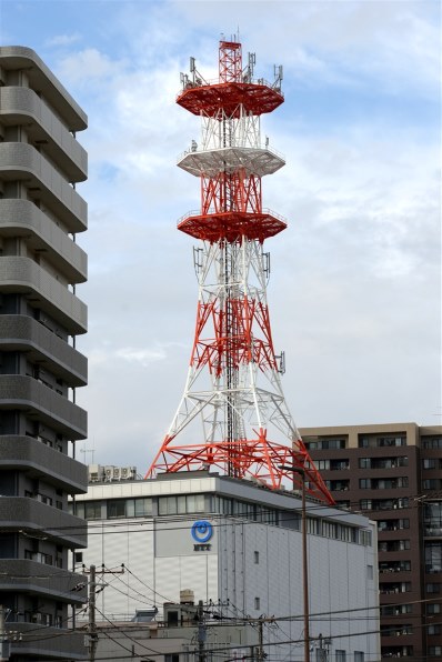 ニコン D610 ボディ投稿画像・動画 - 価格.com