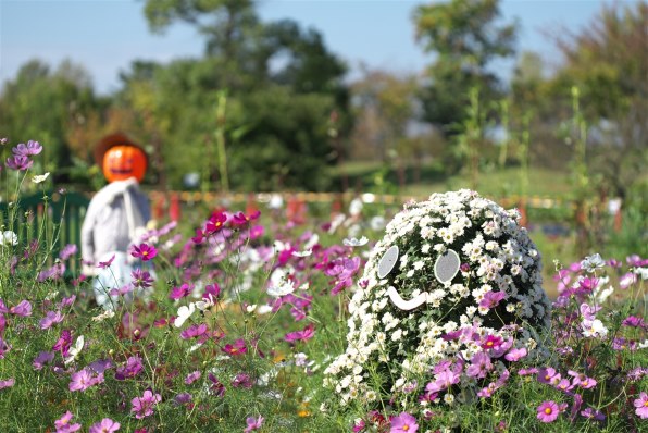 CANON EF100mm F2.8 マクロ USM投稿画像・動画 - 価格.com