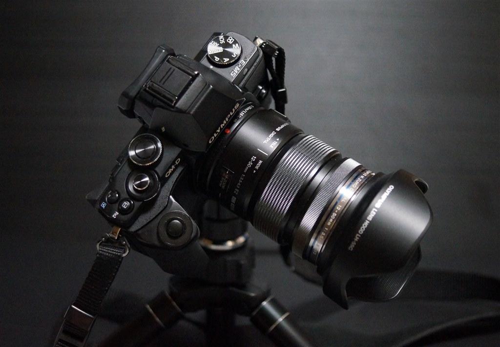 古くても良いじゃ無い？』 オリンパス OLYMPUS OM-D E-M1 ボディ