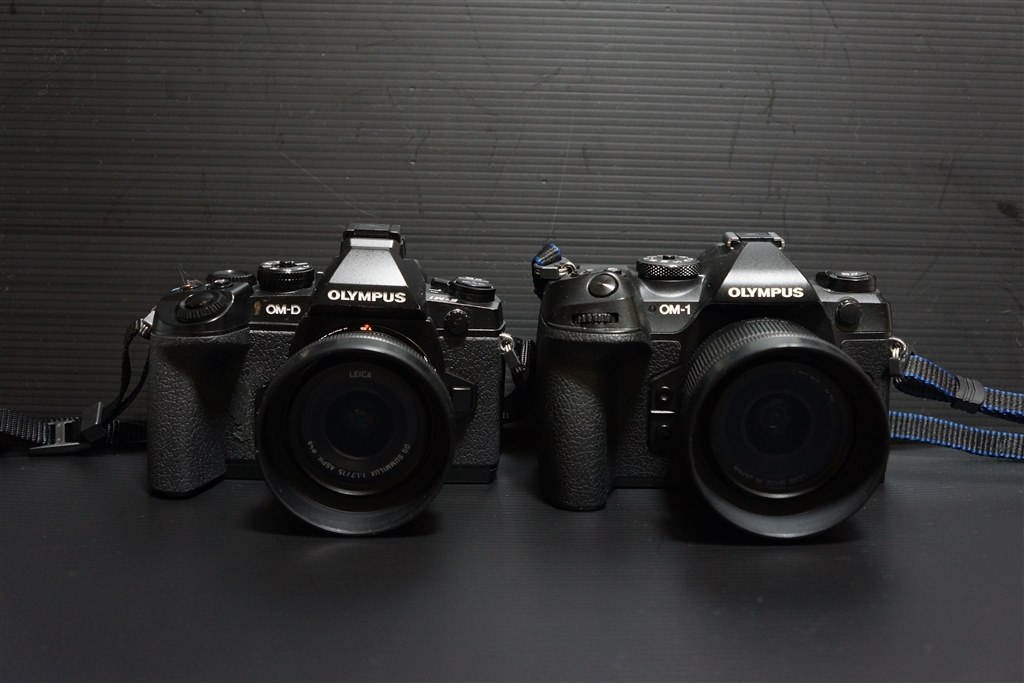 古くても良いじゃ無い？』 オリンパス OLYMPUS OM-D E-M1 ボディ