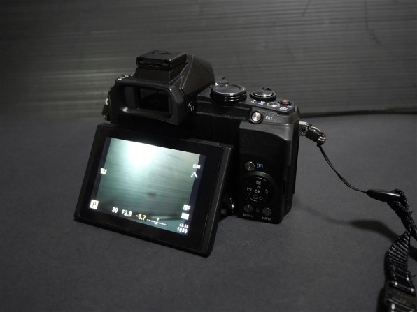 パナソニック LUMIX DC-G100V 標準ズームレンズキット