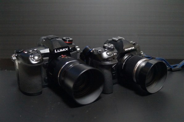 SONY α37 SLT-A37Y ダブルズームレンズキットで撮影された写真 - 価格.com