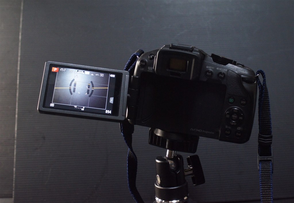 SONYのネオ一眼っぽいとか言わないで（笑）』 パナソニック LUMIX DMC