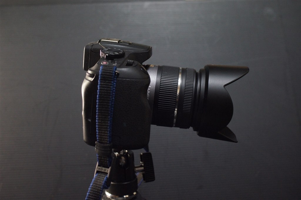 SONYのネオ一眼っぽいとか言わないで（笑）』 パナソニック LUMIX DMC