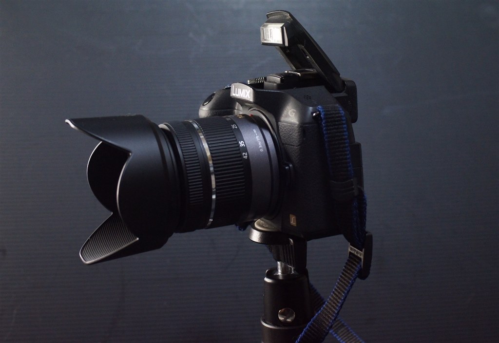 SONYのネオ一眼っぽいとか言わないで（笑）』 パナソニック LUMIX DMC
