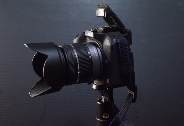 SONY DT 30mm F2.8 Macro SAM SAL30M28で撮影された写真 - 価格.com