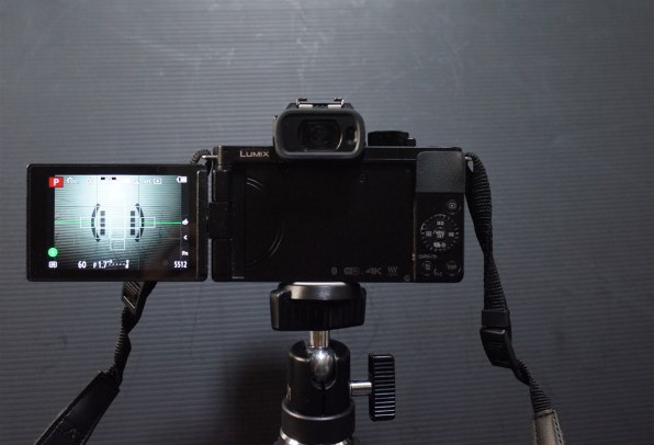 SONY α55 SLT-A55VY ダブルズームレンズキットで撮影された写真 - 価格.com