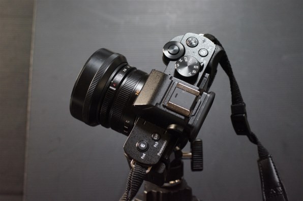 SONY α55 SLT-A55V ボディで撮影された写真 - 価格.com