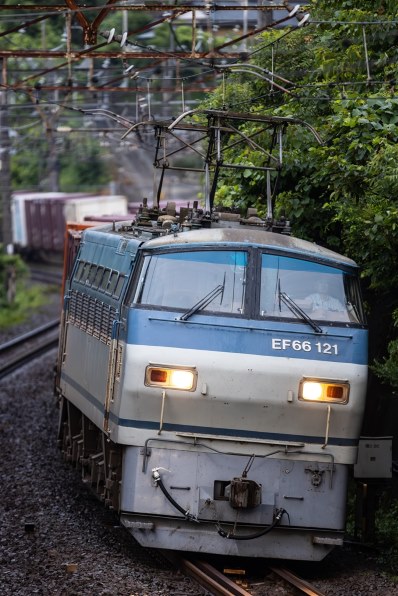 シグマ 120-300mm F2.8 DG OS HSM [キヤノン用]投稿画像・動画 - 価格.com