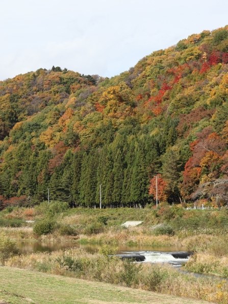 CANON EOS 5D Mark II ボディで撮影された写真 (レビュー) - 価格.com