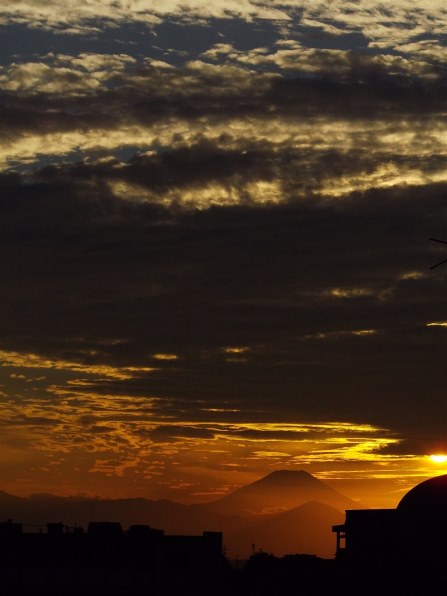 ペンタックス Optio VS20で撮影された写真 (レビュー) - 価格.com