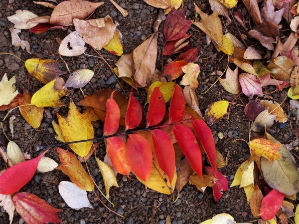 パナソニック LEICA DG VARIO-ELMARIT 12-60mm/F2.8-4.0 ASPH./POWER