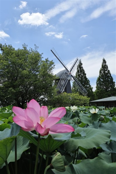 CANON EF16-35mm F4L IS USM 価格比較 - 価格.com