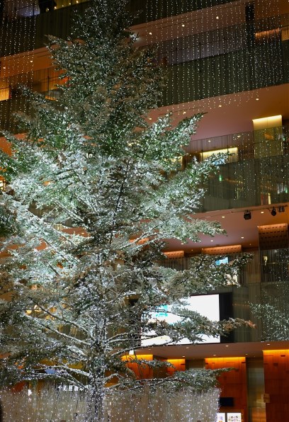 SONY VLOGCAM ZV-E1 ボディ 価格比較 - 価格.com