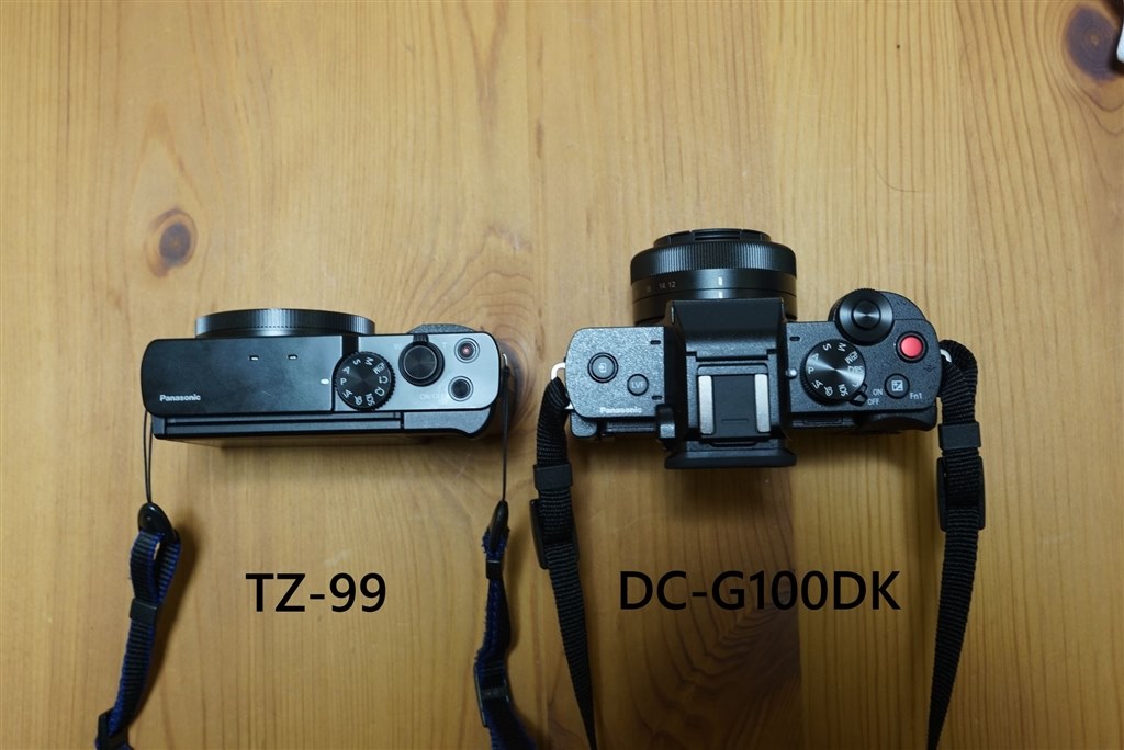 望遠が必要無ければ安いミラーレスのほうが満足できました