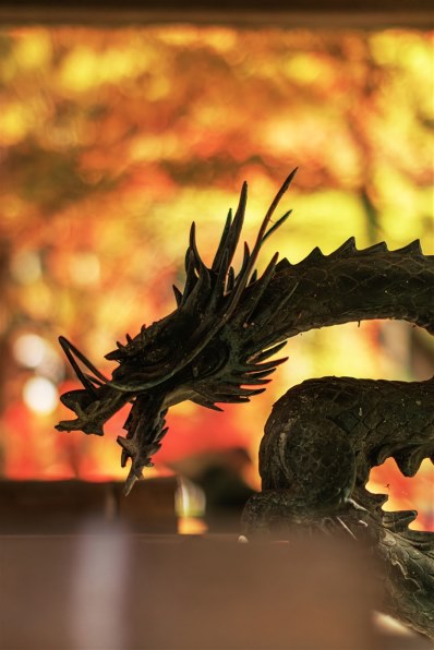 シグマ 50mm F1.4 EX DG HSM (ｷﾔﾉﾝ用)投稿画像・動画 - 価格.com