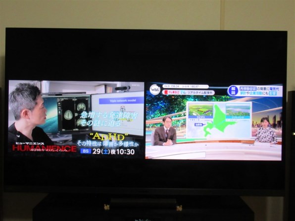 CANON PowerShot SX620 HS [ホワイト]で撮影された写真 (レビュー