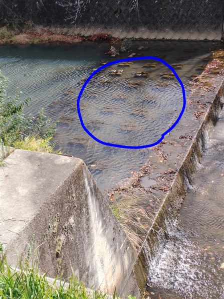 シャープ AQUOS sense10 SH-M33 128GB SIMフリー [デニムネイビー