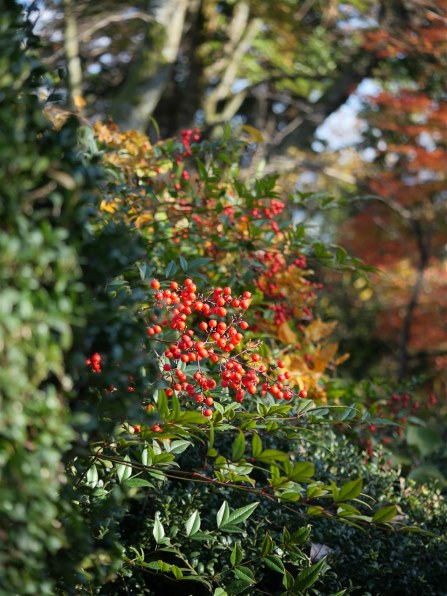 極めて遺憾』 パナソニック LUMIX DC-G100DW ダブルズームレンズキット