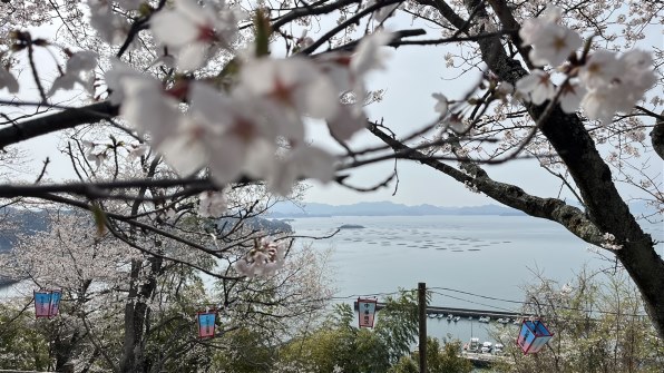 Apple iPhone 13 mini 256GB SIMフリー [ピンク] 価格比較 - 価格.com