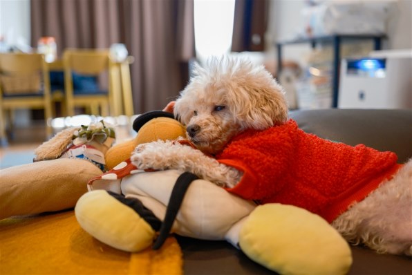 富士フイルム FUJIFILM X-T5 ボディ 価格比較 - 価格.com