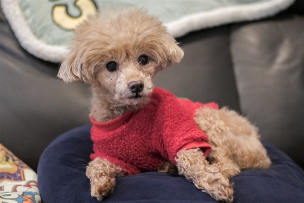 富士フイルム XF16-50mm F2.8-4.8 R LM WR 富士フイルム FUJIFILM X-T5 ボディ 価格比較 - 価格.com