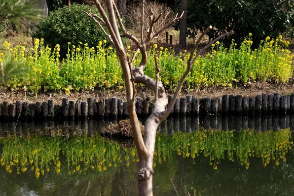 SONY Vario-Tessar T* FE 24-70mm F4 ZA OSS SEL2470Z 価格比較 - 価格.com