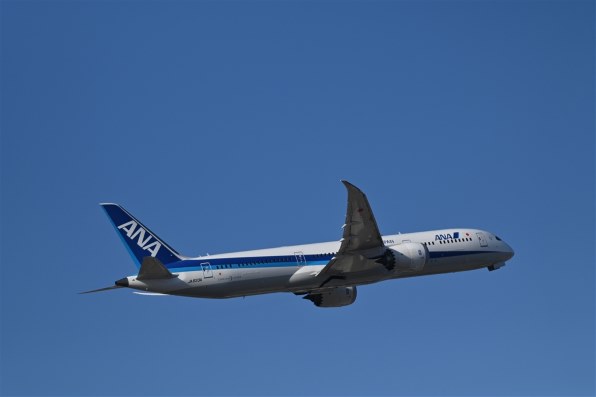 ニコン AF-S NIKKOR 200-500mm f/5.6E ED VR レビュー評価・評判