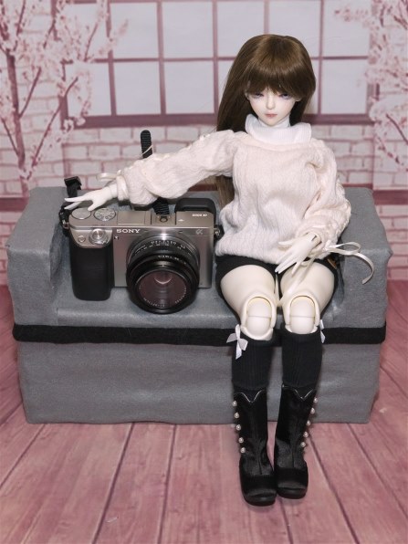 SONY E18-200mm F3.5-6.3 OSS SEL18200で撮影された写真 - 価格.com