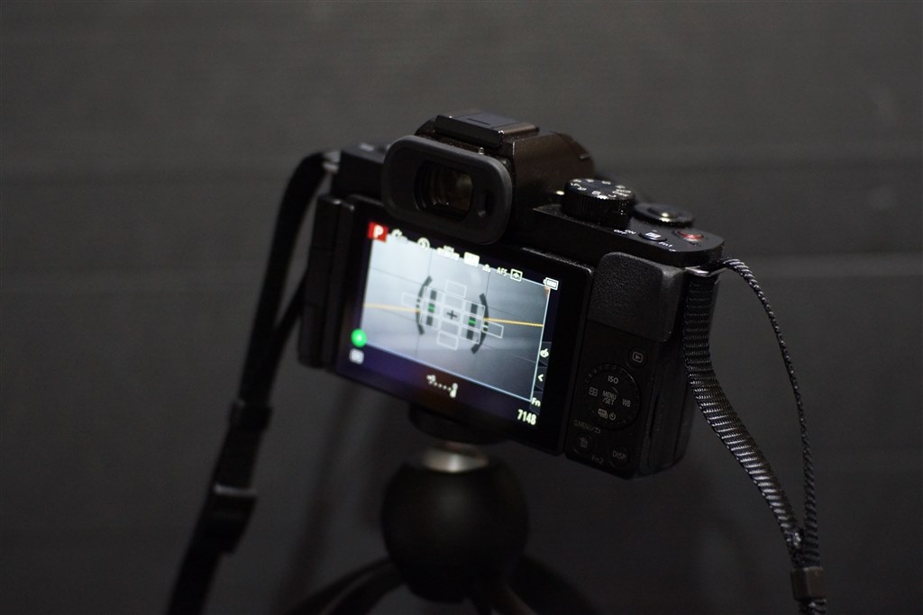 レンズ1本10万円とかの時代にG100Dが有るんだよね♪』 パナソニック