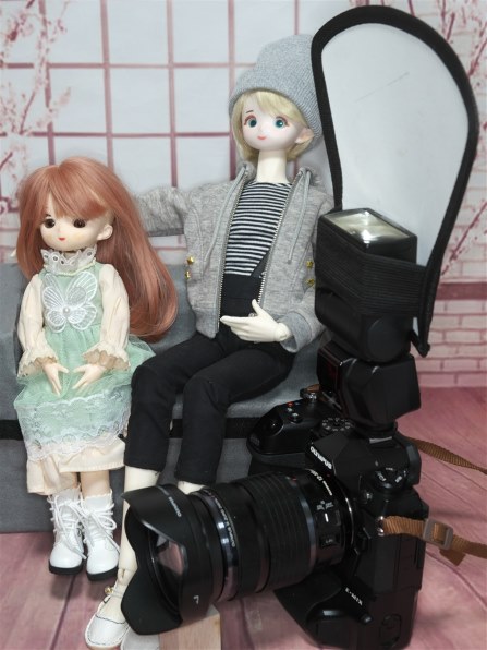 SONY α6300 ILCE-6300L パワーズームレンズキットで撮影された写真
