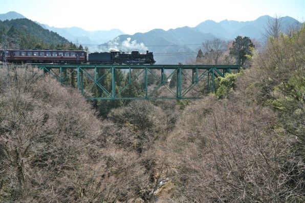 SONY Vario-Tessar T* FE 24-70mm F4 ZA OSS SEL2470Zで撮影された写真