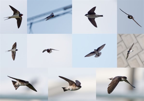 OMデジタルソリューションズ OM SYSTEM M.ZUIKO DIGITAL ED 150-400mm