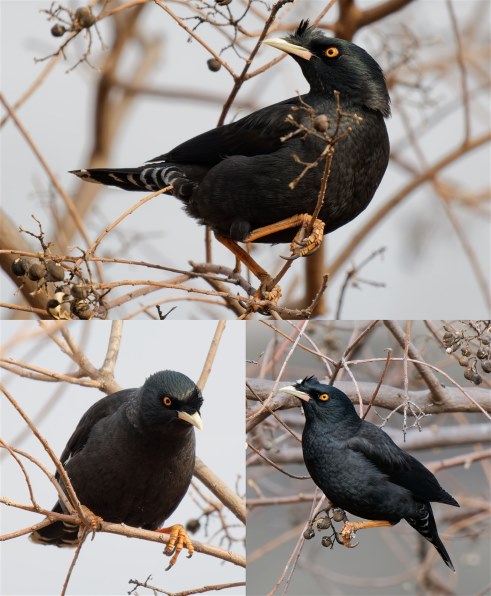 OMデジタルソリューションズ OM SYSTEM M.ZUIKO DIGITAL ED 150-400mm
