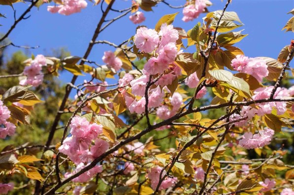 ニコン AI AF-S Zoom Nikkor ED 28-70mm F2.8D(IF) (ライトグレー)で
