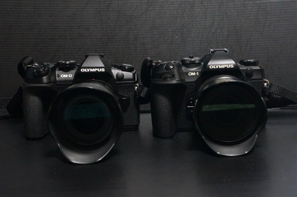 SONY E18-55mm F3.5-5.6 OSS SEL1855で撮影された写真 - 価格.com