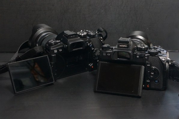 SONY E18-55mm F3.5-5.6 OSS SEL1855で撮影された写真 - 価格.com