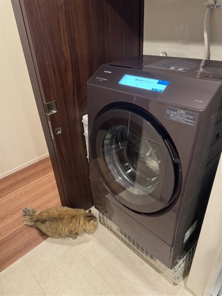 札幌近郊発　延長保証あり　2021年製 TOSHIBA 東芝 ZABOON TW-127XP1L 電気洗濯乾燥機 12.0kg/7.0kg TW127XP」の人気商品一覧 | 安い商品を通販サイトから探す - 価格.com
