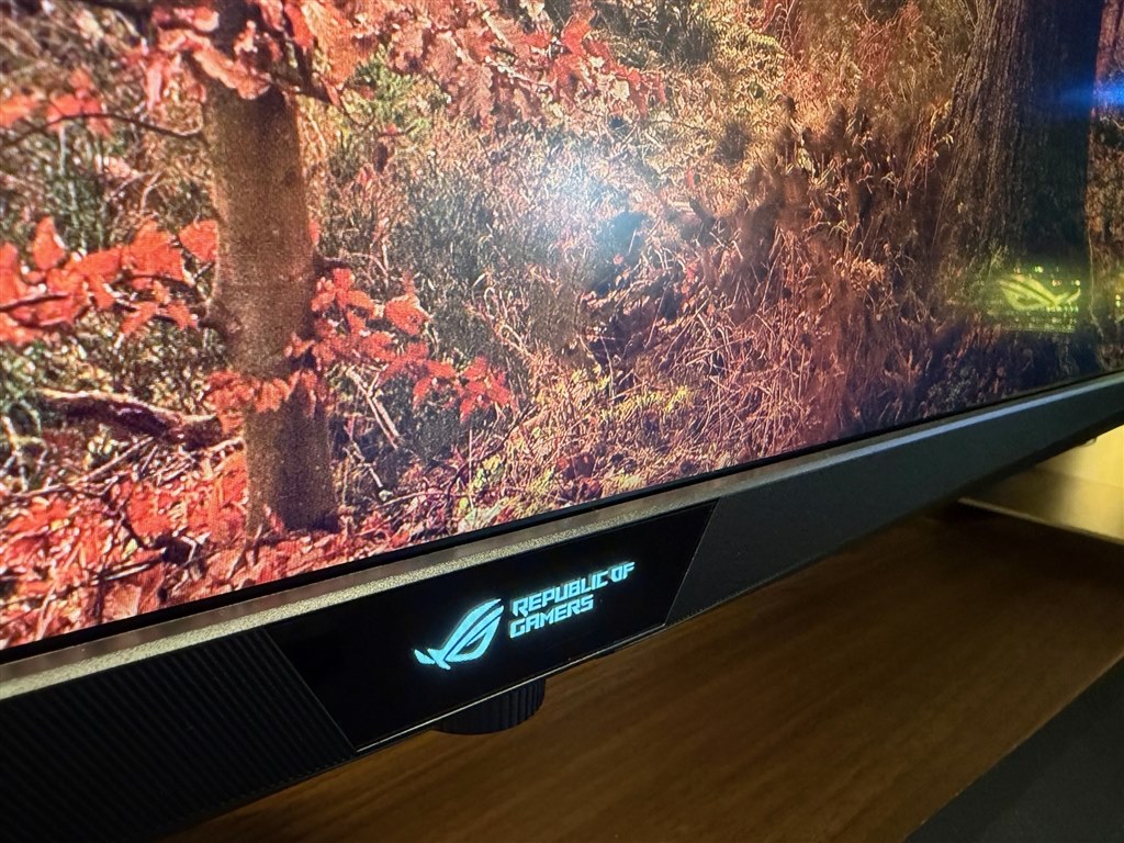 大幅値下げで散り際にようやく魅力が出てきた元高級モニタ』 ASUS ROG