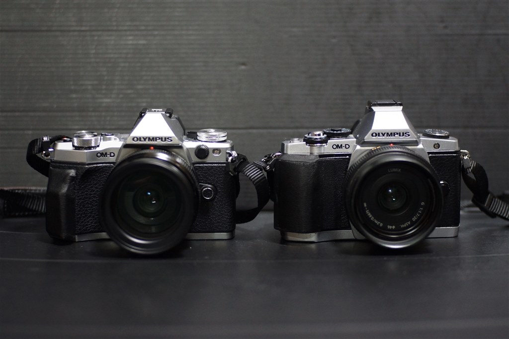 金属ボディにシルバーカラー 』 オリンパス OLYMPUS OM-D E-M5 Mark II