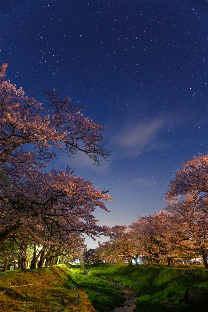 星景写真撮影用に購入 ほぼ正解でした』 Leofoto Mr.Q LQ-365C 風 丸