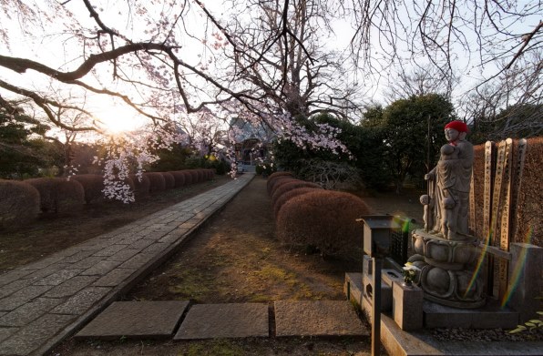 canon eos 5D mark ll フルサイズ作例あり CANON EOS 5D Mark II ボディで撮影された写真 (レビュー) - 価格.com