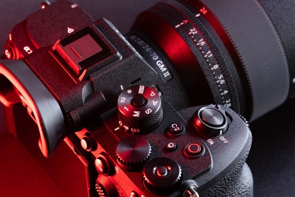 シグマ 105mm F2.8 DG DN MACRO [ソニーE用]で撮影された写真