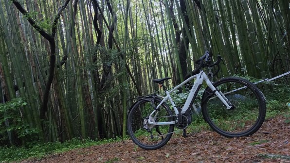 ヤマハ WABASH RT 2024年モデル [マットストーングレー] + 専用充電器