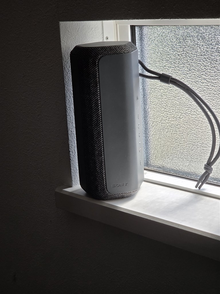 クセがあるが目的にマッチしたら悪くない』 SONY SRS-XE200 (B
